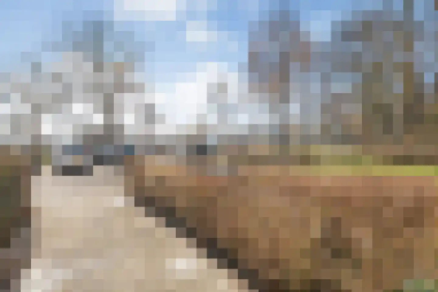 Jan Buschstraat 9 Zwolle thumbnail 31