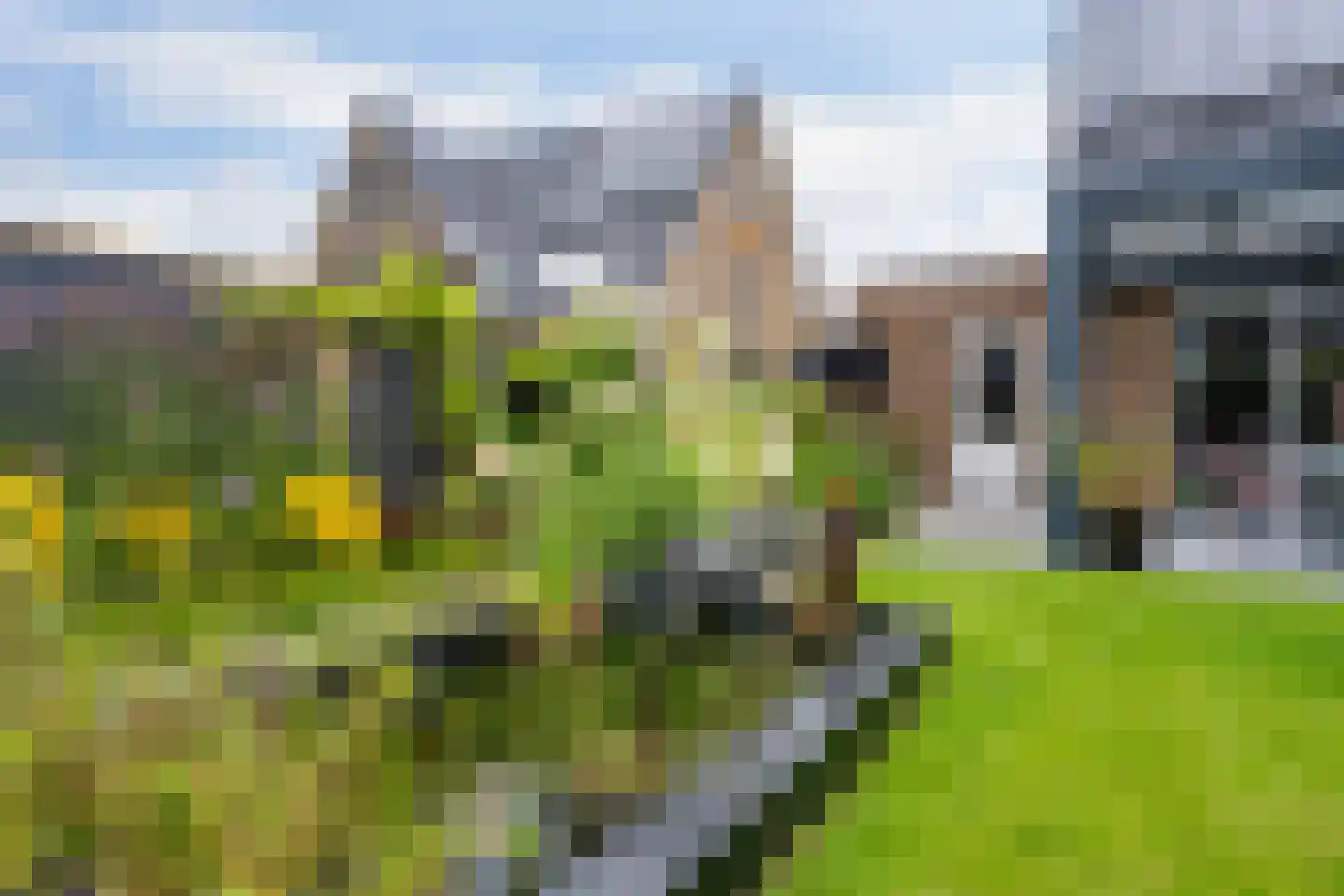 Jan Calvokade 15 Veenendaal thumbnail 38