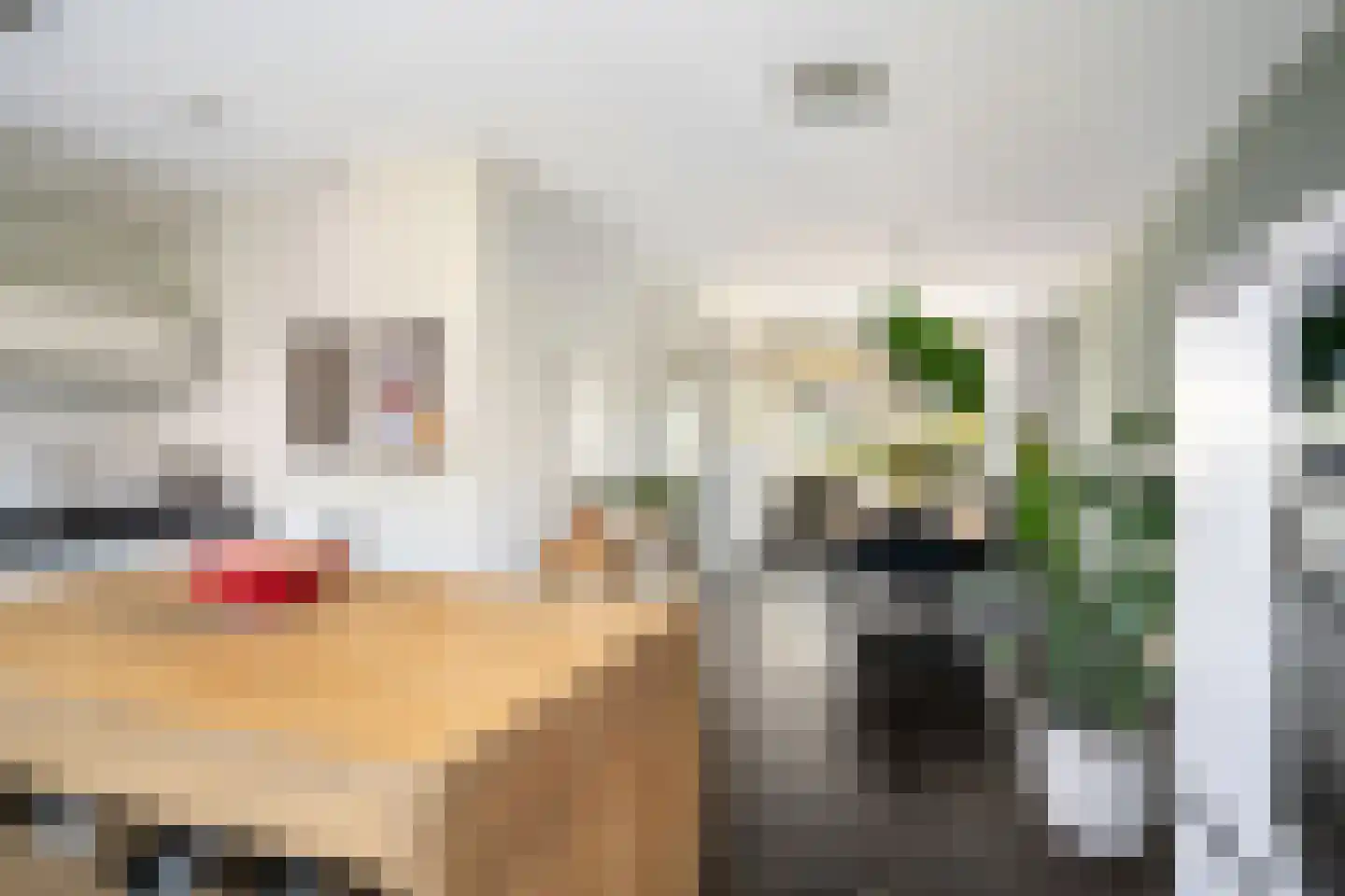 Jan Campertkade 9 Spijkenisse thumbnail 15
