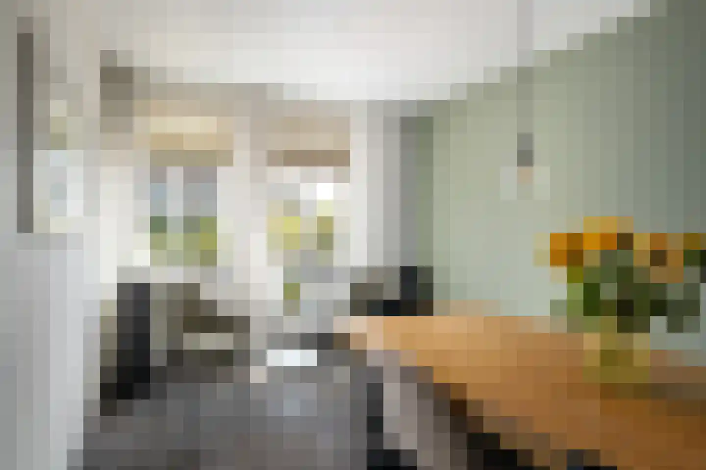 Jan Campertkade 9 Spijkenisse thumbnail 18