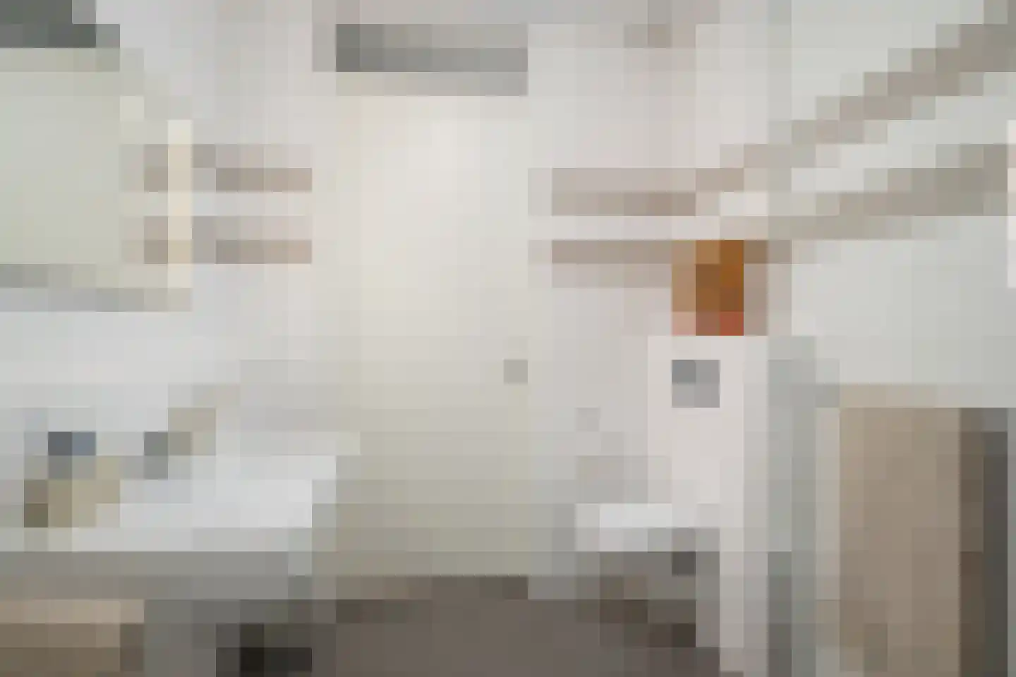 Jan Campertkade 9 Spijkenisse thumbnail 39