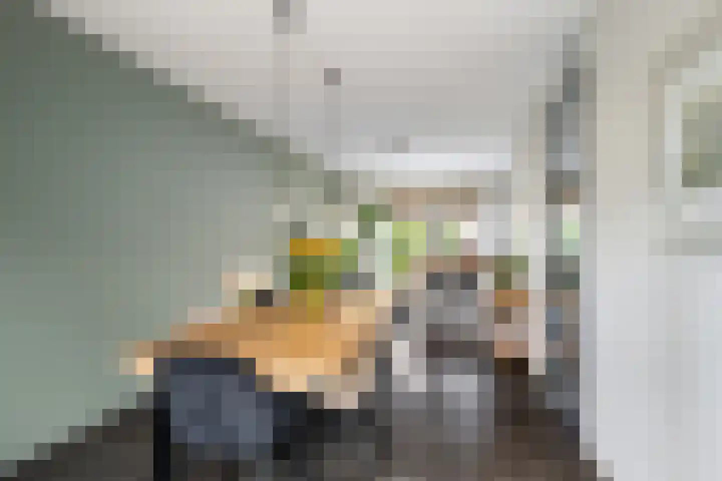 Jan Campertkade 9 Spijkenisse thumbnail 9