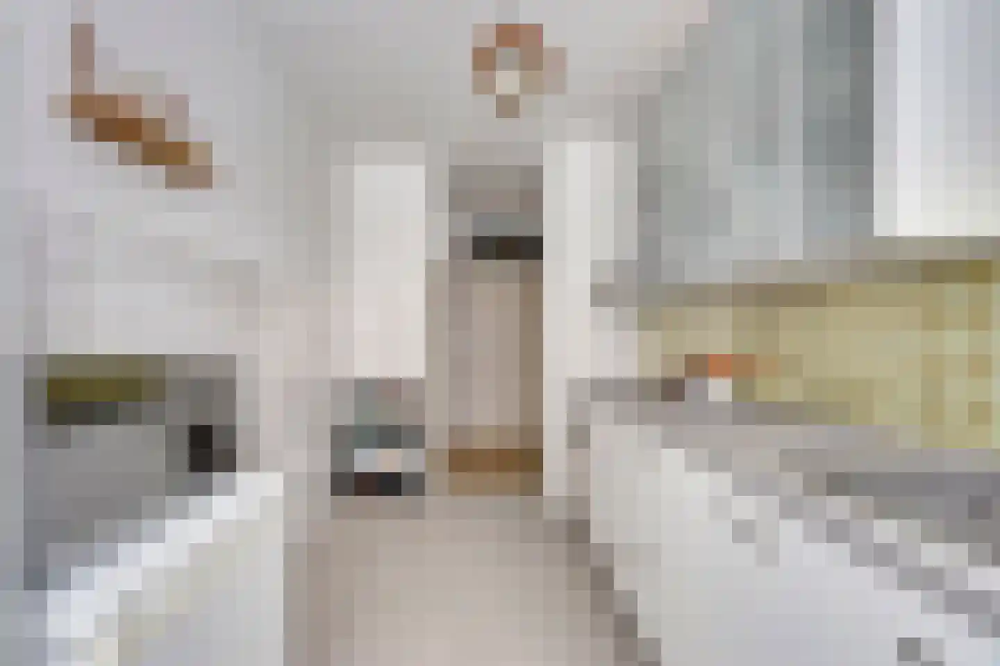 Jan Campertlaan 105 Delft thumbnail 17