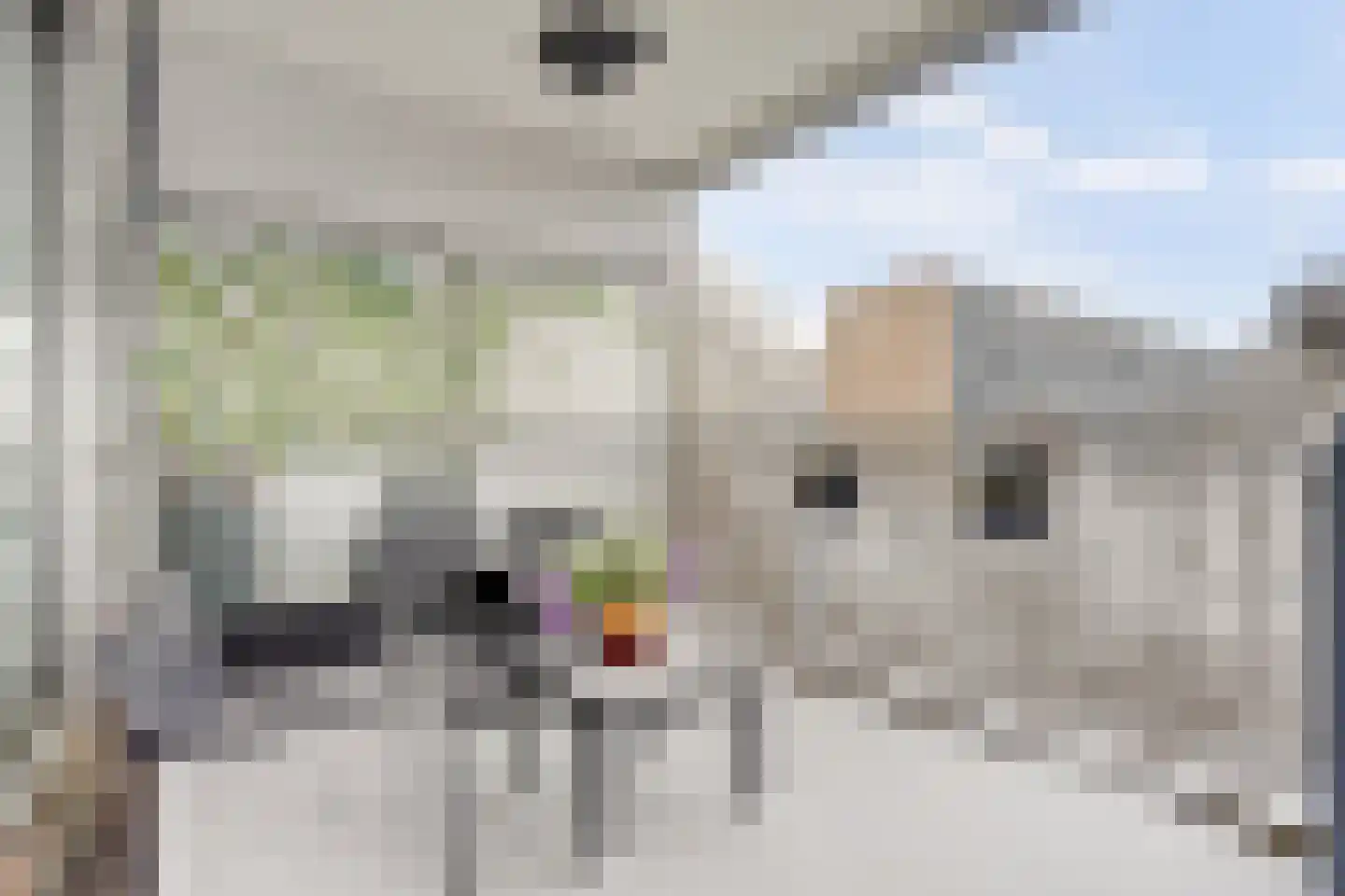 Jan Campertlaan 105 Delft thumbnail 23