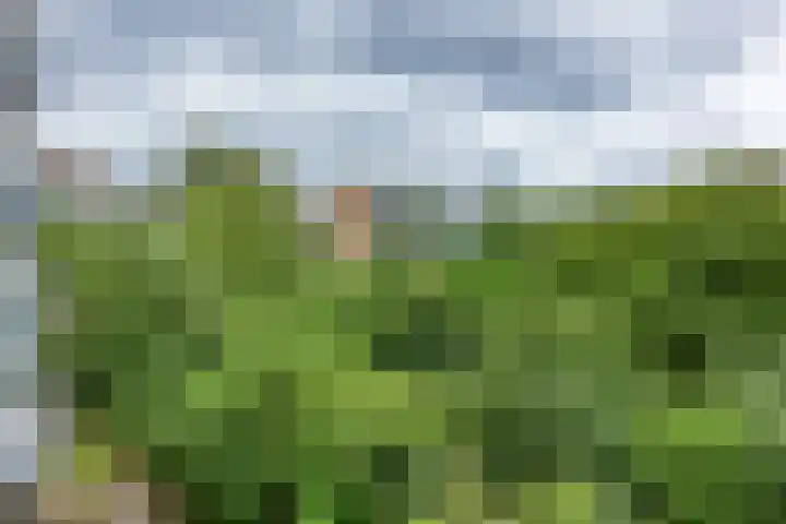 Jan Campertlaan 107 Delft thumbnail 17