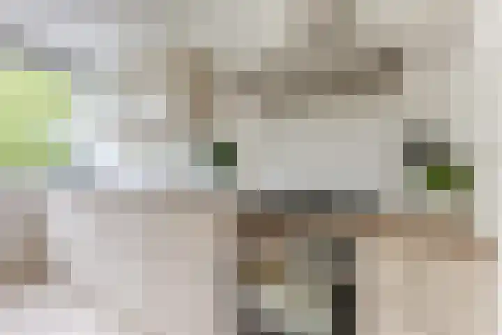 Jan Campertlaan 107 Delft thumbnail 23