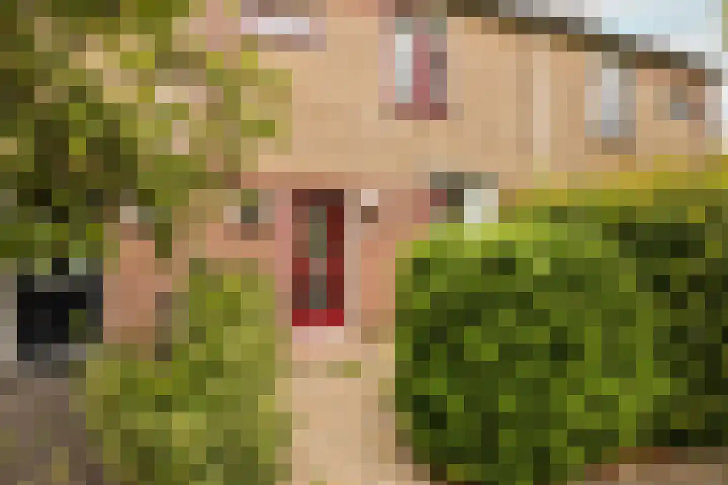 Jan Campertlaan 11 Oegstgeest thumbnail 11