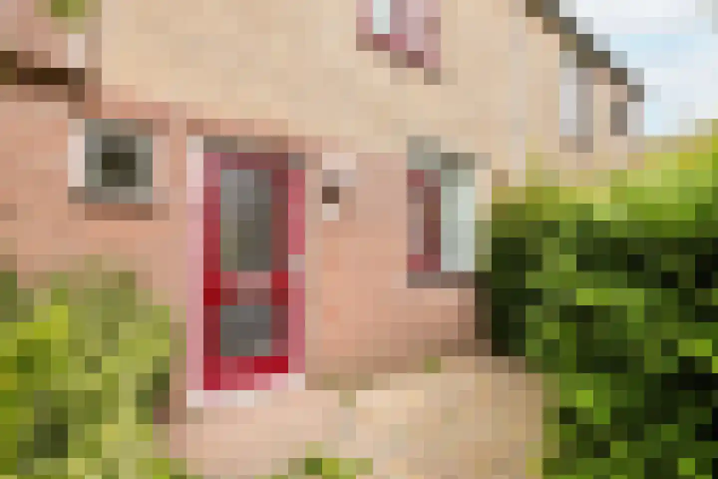 Jan Campertlaan 11 Oegstgeest thumbnail 12
