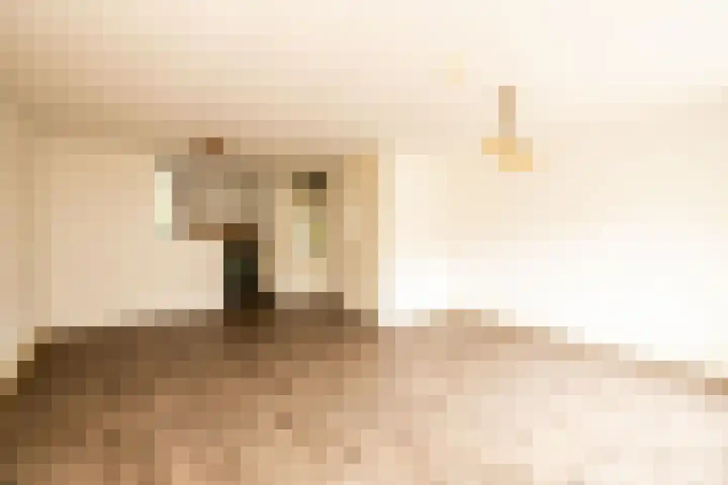 Jan Campertlaan 11 Oegstgeest thumbnail 16