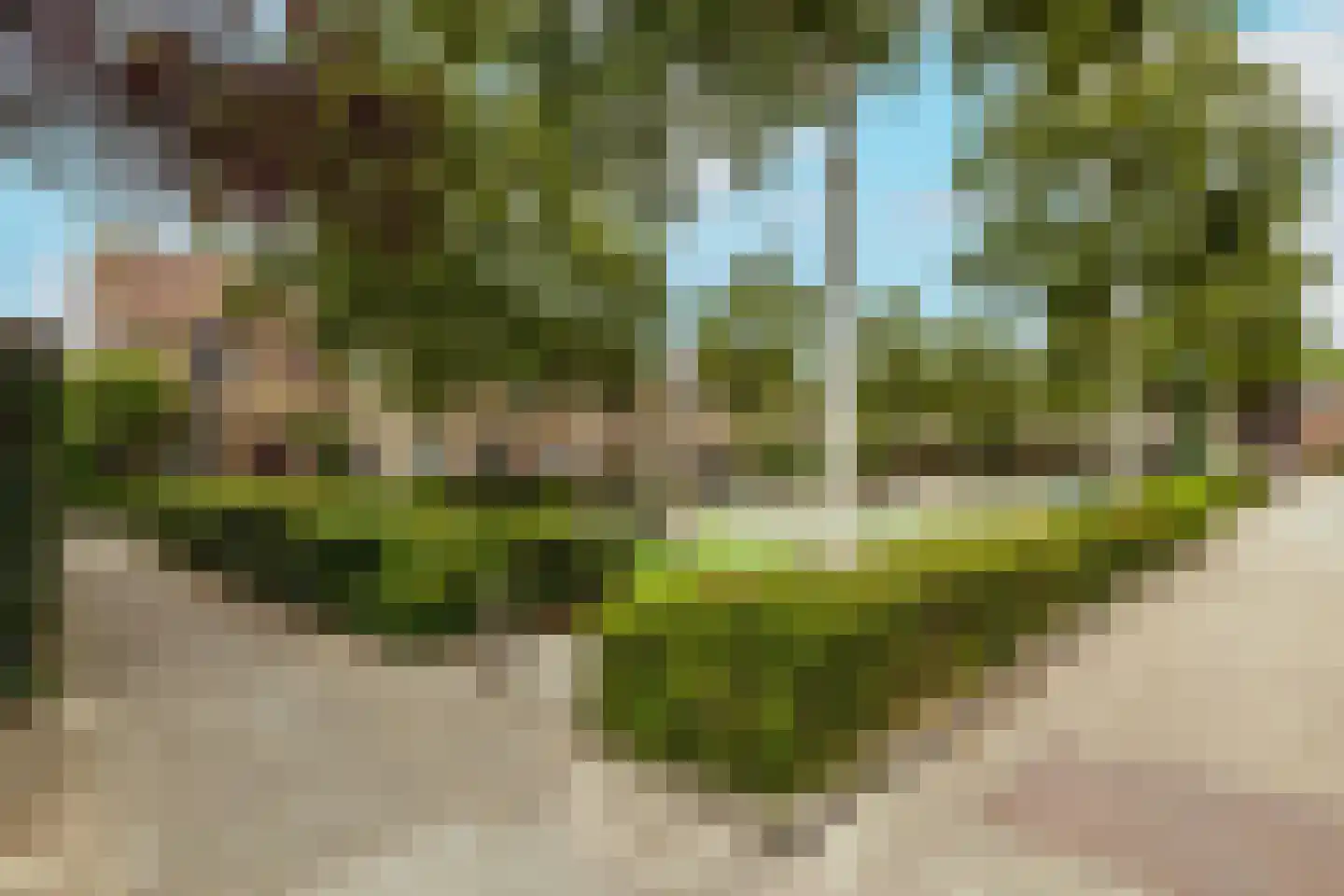Jan Campertlaan 11 Oegstgeest thumbnail 4