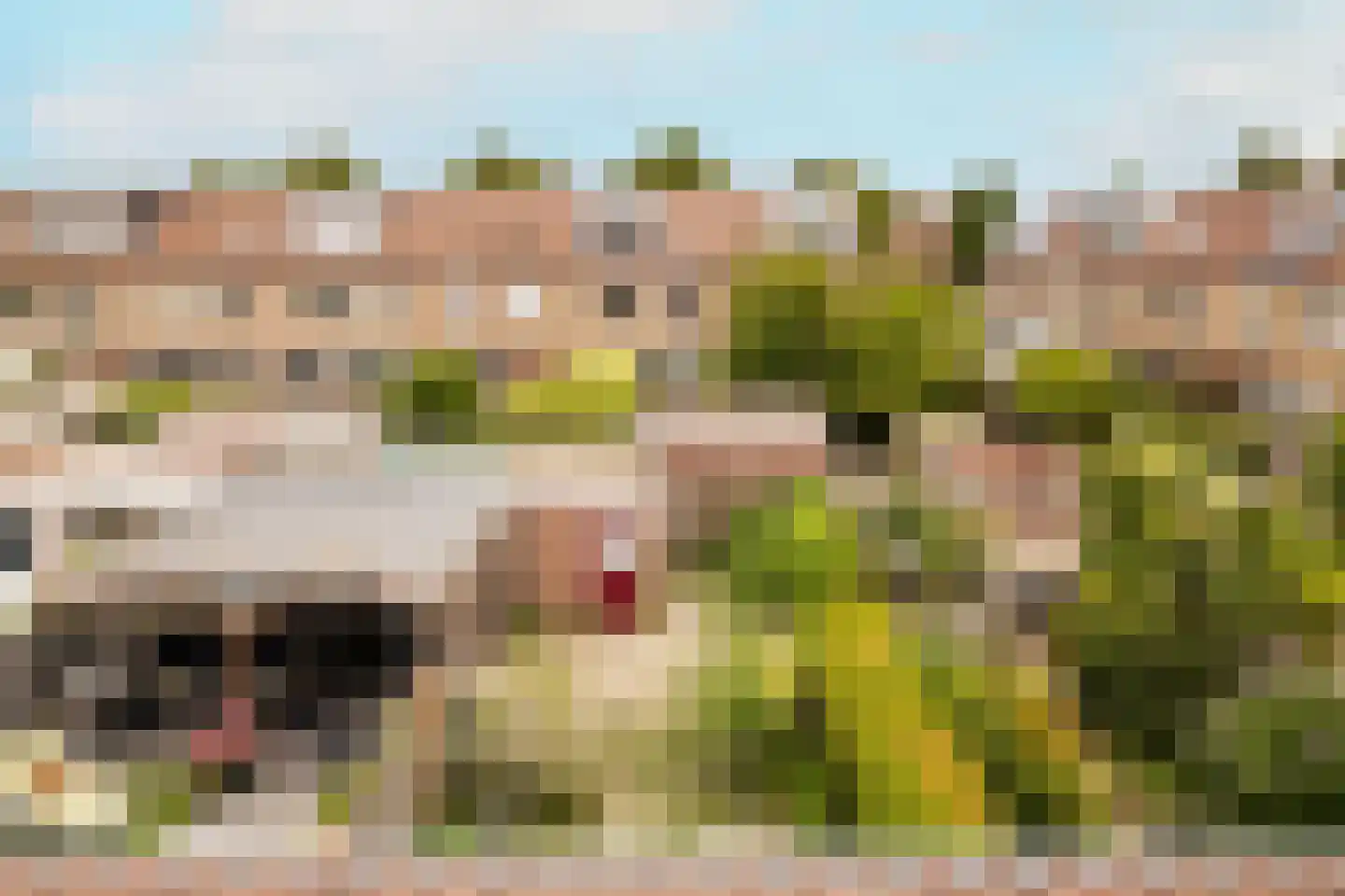 Jan Campertlaan 11 Oegstgeest thumbnail 40