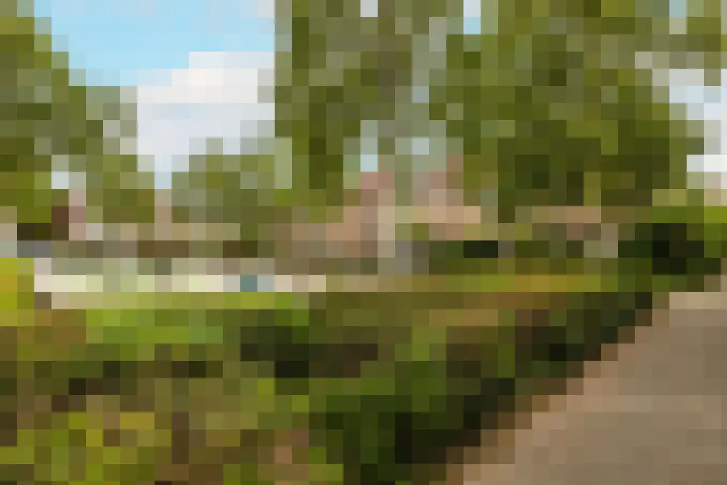 Jan Campertlaan 11 Oegstgeest thumbnail 5