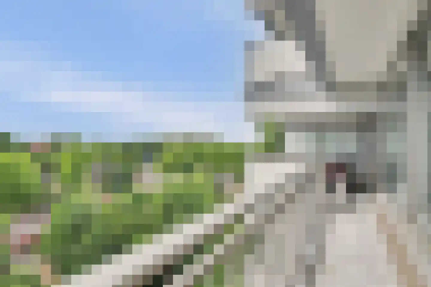 Jan Campertlaan 127 Delft thumbnail 38