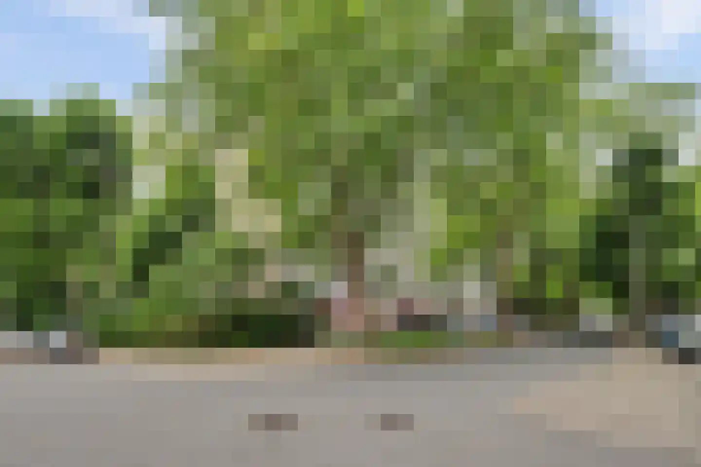 Jan Campertlaan 127 Delft thumbnail 42