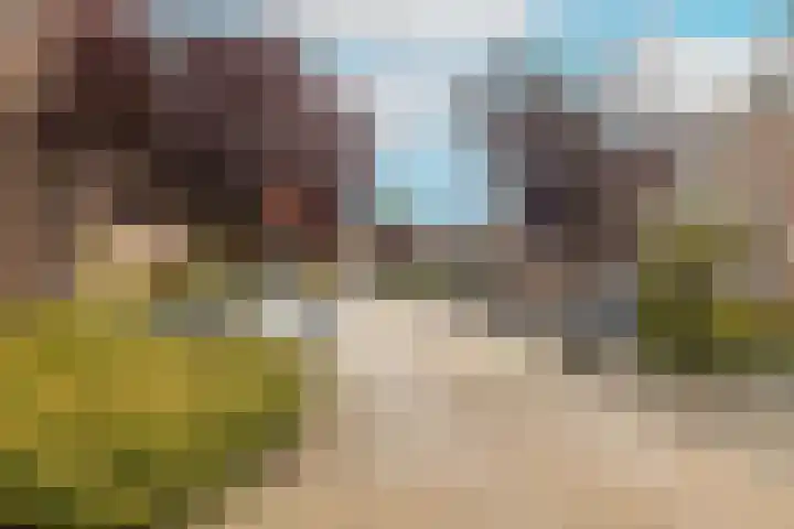 Jan Campertlaan 14 Oegstgeest thumbnail 10