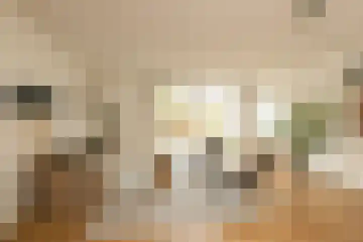Jan Campertlaan 14 Oegstgeest thumbnail 14