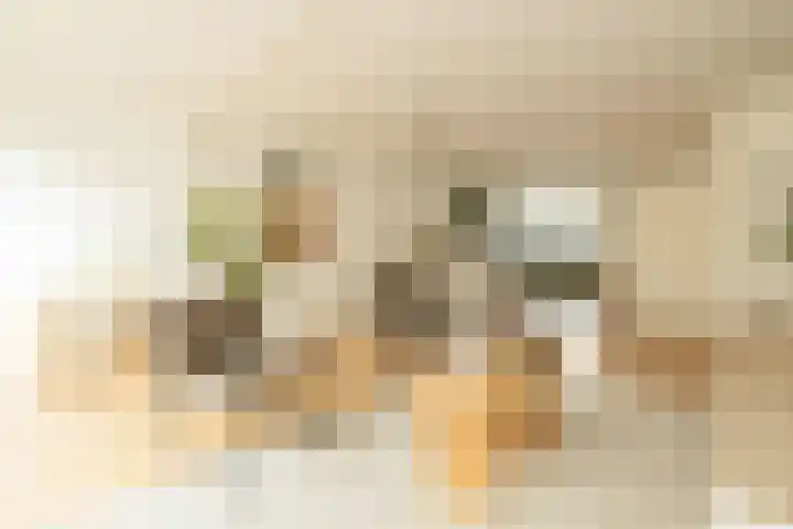 Jan Campertlaan 14 Oegstgeest thumbnail 15