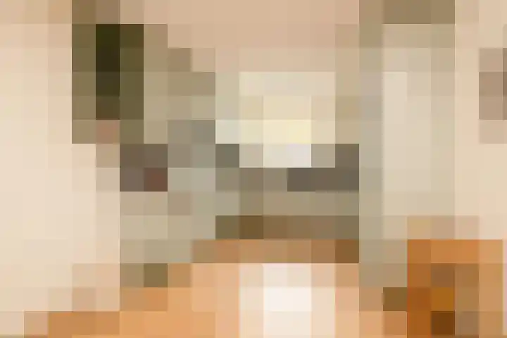 Jan Campertlaan 14 Oegstgeest thumbnail 19