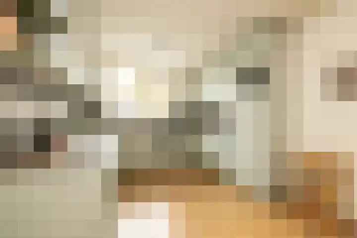 Jan Campertlaan 14 Oegstgeest thumbnail 20