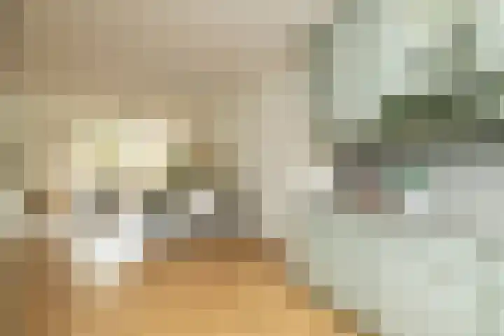 Jan Campertlaan 14 Oegstgeest thumbnail 21