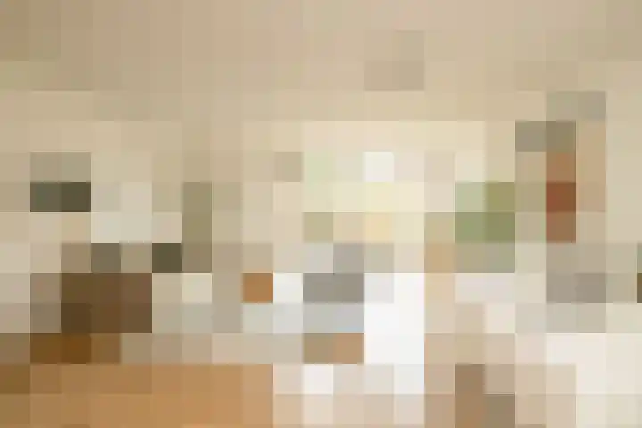 Jan Campertlaan 14 Oegstgeest thumbnail 24