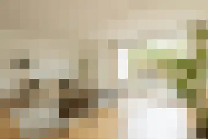 Jan Campertlaan 14 Oegstgeest thumbnail 25
