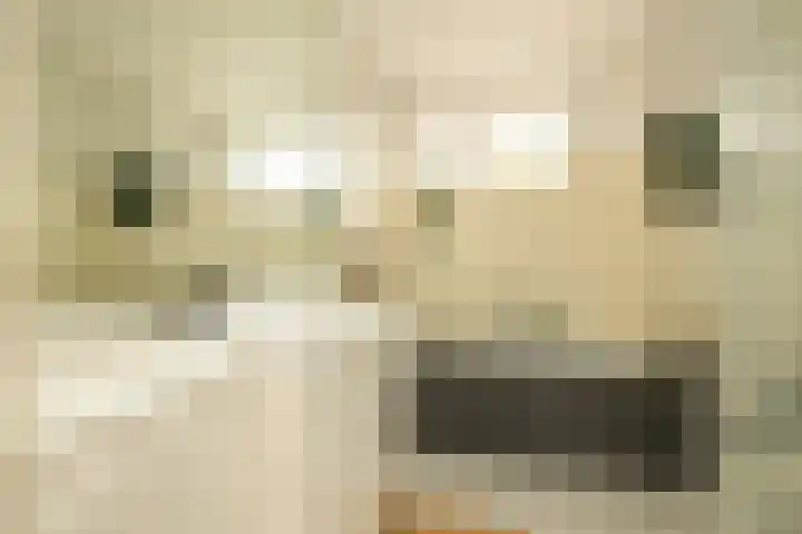 Jan Campertlaan 14 Oegstgeest thumbnail 27