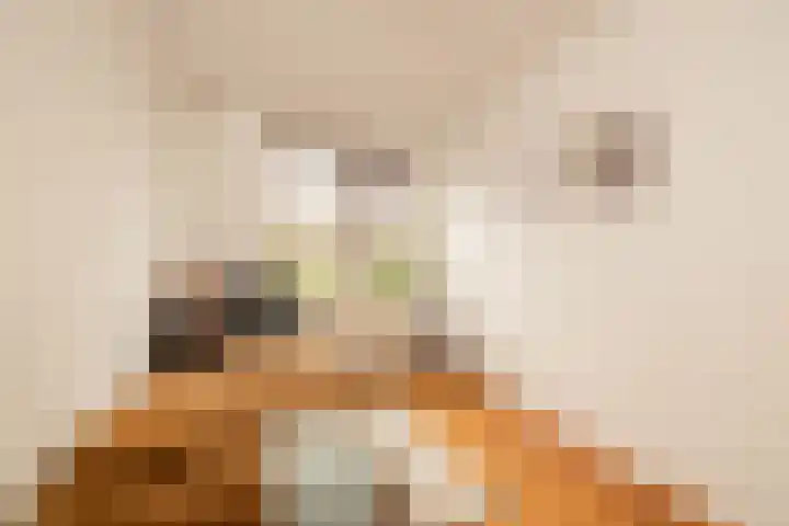 Jan Campertlaan 14 Oegstgeest thumbnail 36