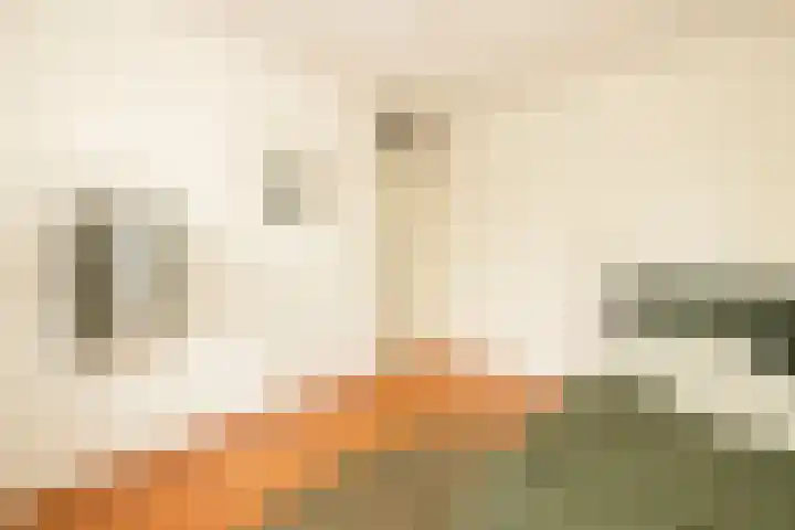 Jan Campertlaan 14 Oegstgeest thumbnail 38
