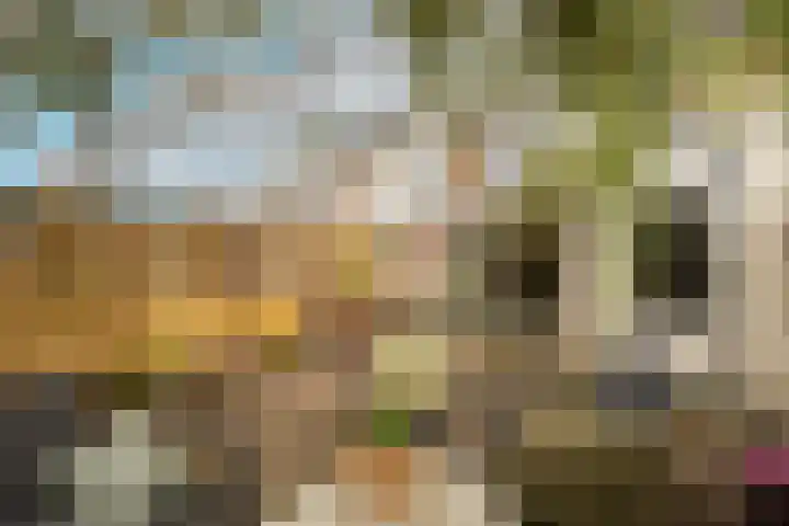 Jan Campertlaan 14 Oegstgeest thumbnail 4