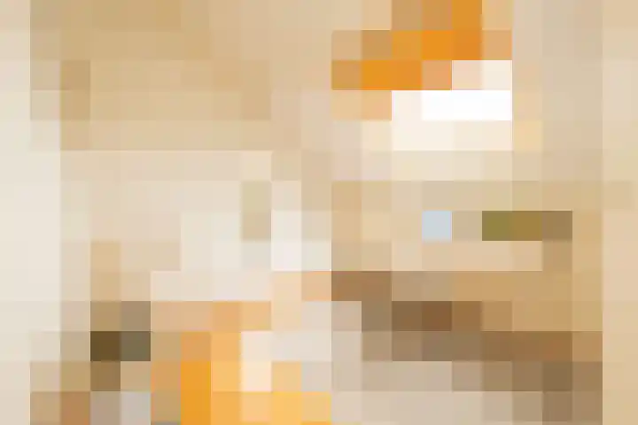 Jan Campertlaan 14 Oegstgeest thumbnail 43