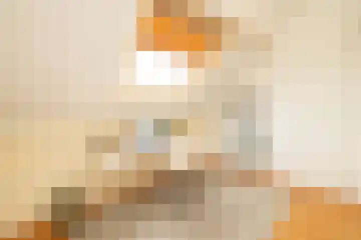 Jan Campertlaan 14 Oegstgeest thumbnail 44