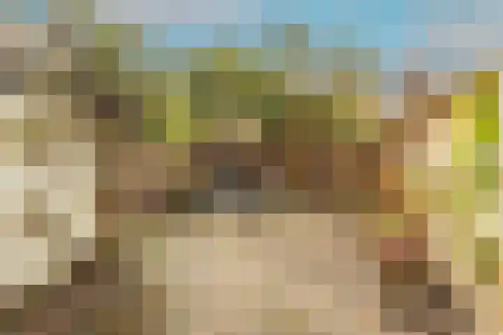 Jan Campertlaan 14 Oegstgeest thumbnail 46