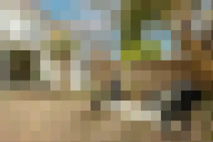 Jan Campertlaan 14 Oegstgeest thumbnail 48