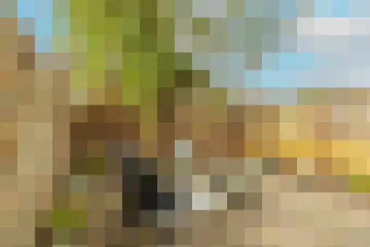 Jan Campertlaan 14 Oegstgeest thumbnail 49