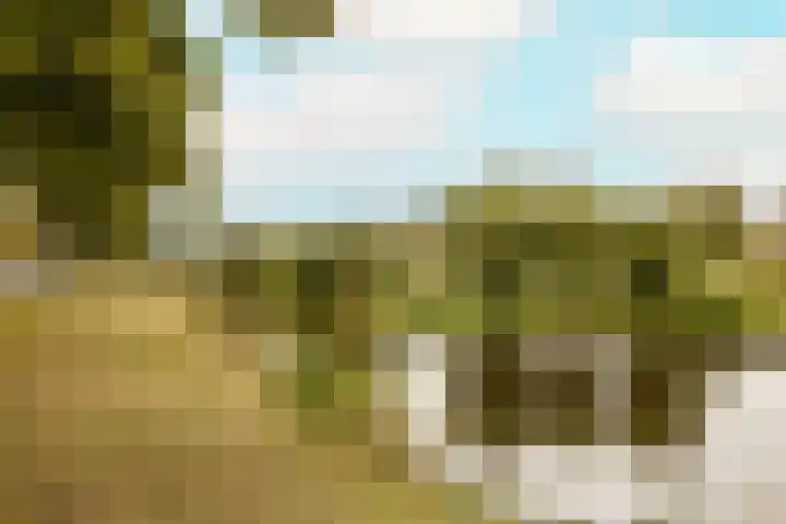 Jan Campertlaan 14 Oegstgeest thumbnail 5