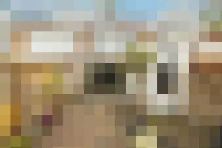 Jan Campertlaan 14 Oegstgeest thumbnail 50