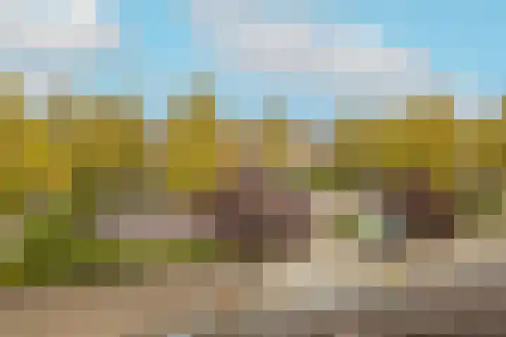 Jan Campertlaan 14 Oegstgeest thumbnail 51
