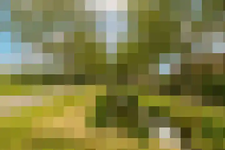 Jan Campertlaan 14 Oegstgeest thumbnail 53
