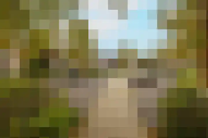 Jan Campertlaan 14 Oegstgeest thumbnail 6
