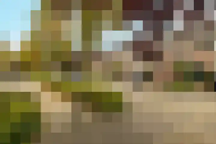 Jan Campertlaan 14 Oegstgeest thumbnail 8