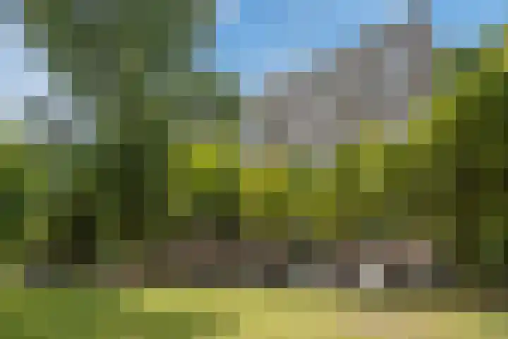 Jan Campertlaan 169 in Delft