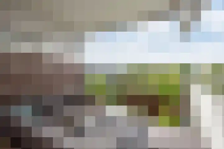 Jan Campertlaan 169 Delft thumbnail 14