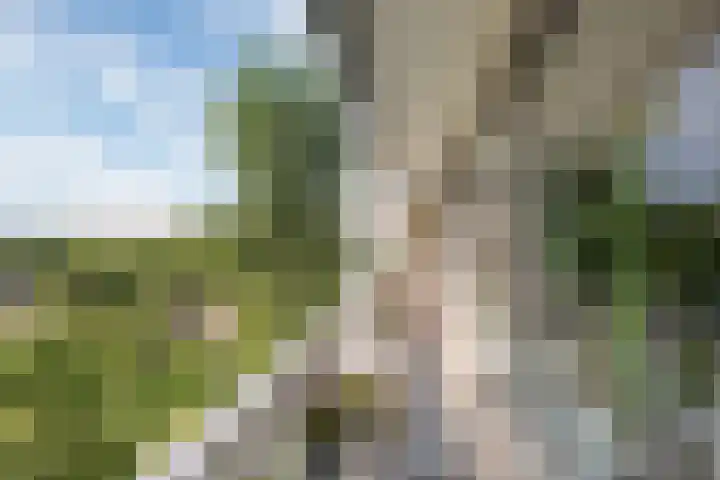 Jan Campertlaan 169 Delft thumbnail 16