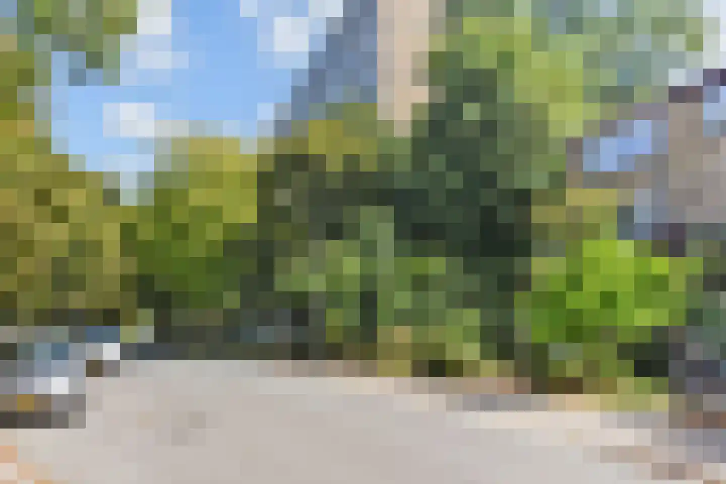 Jan Campertlaan 279 Delft thumbnail 5