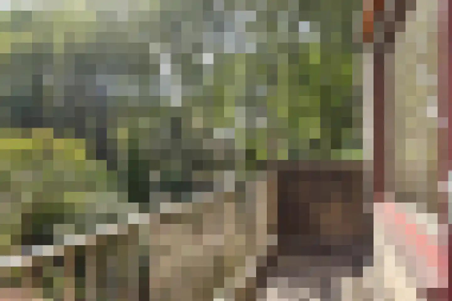 Jan Campertlaan 279 Delft thumbnail 8