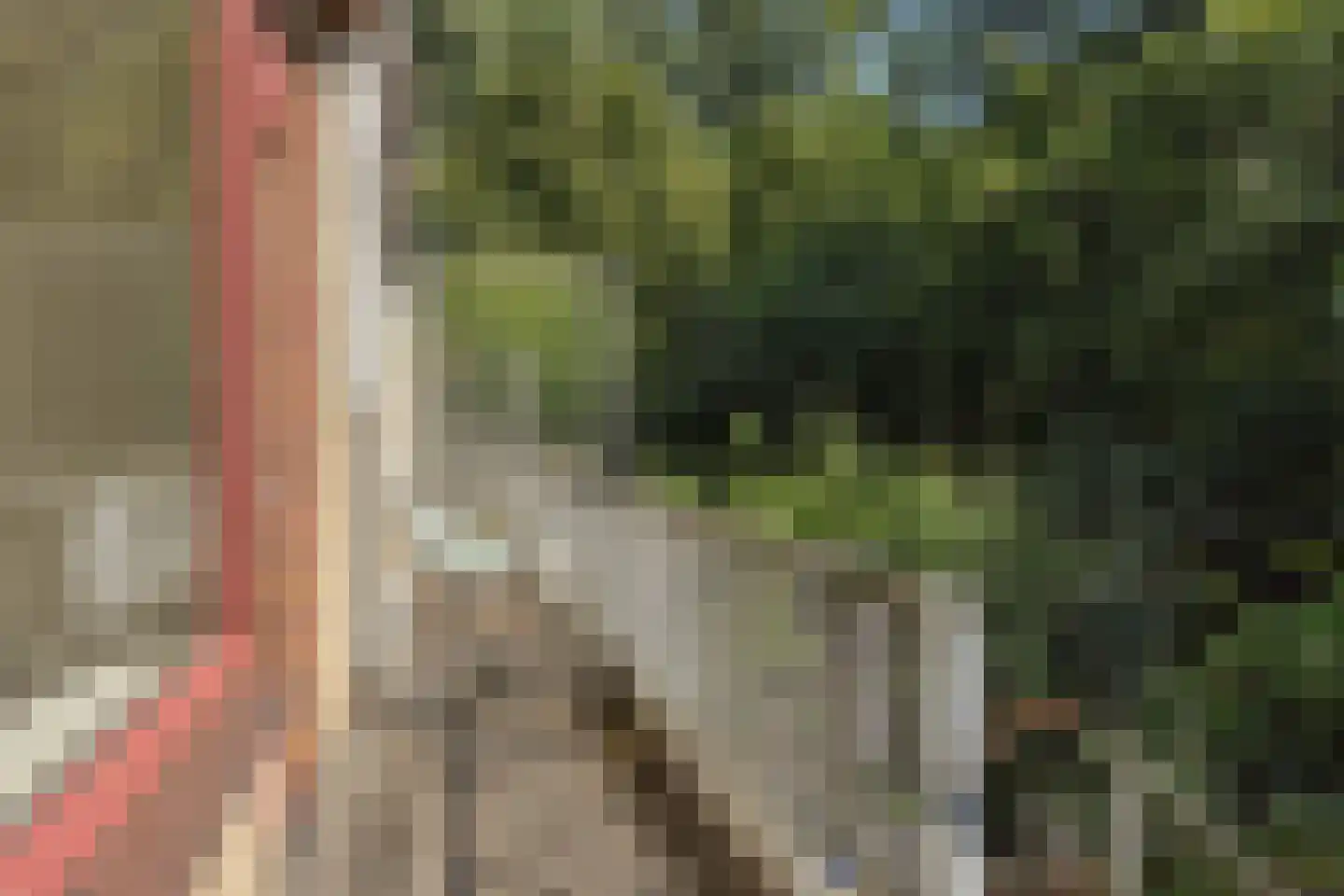 Jan Campertlaan 279 Delft thumbnail 9