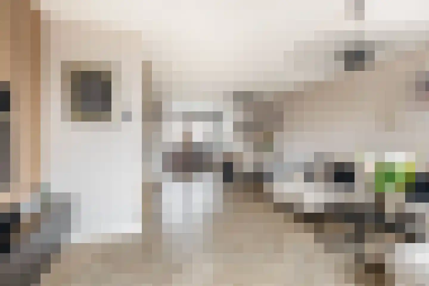 Jan Campertlaan 39 Spijkenisse thumbnail 21