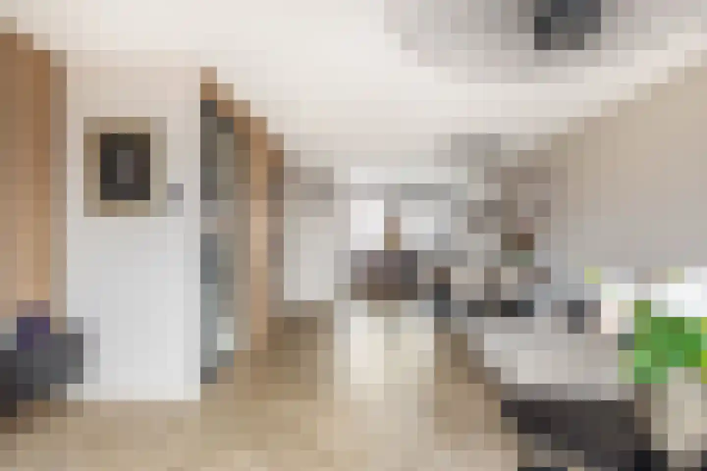 Jan Campertlaan 39 Spijkenisse thumbnail 22