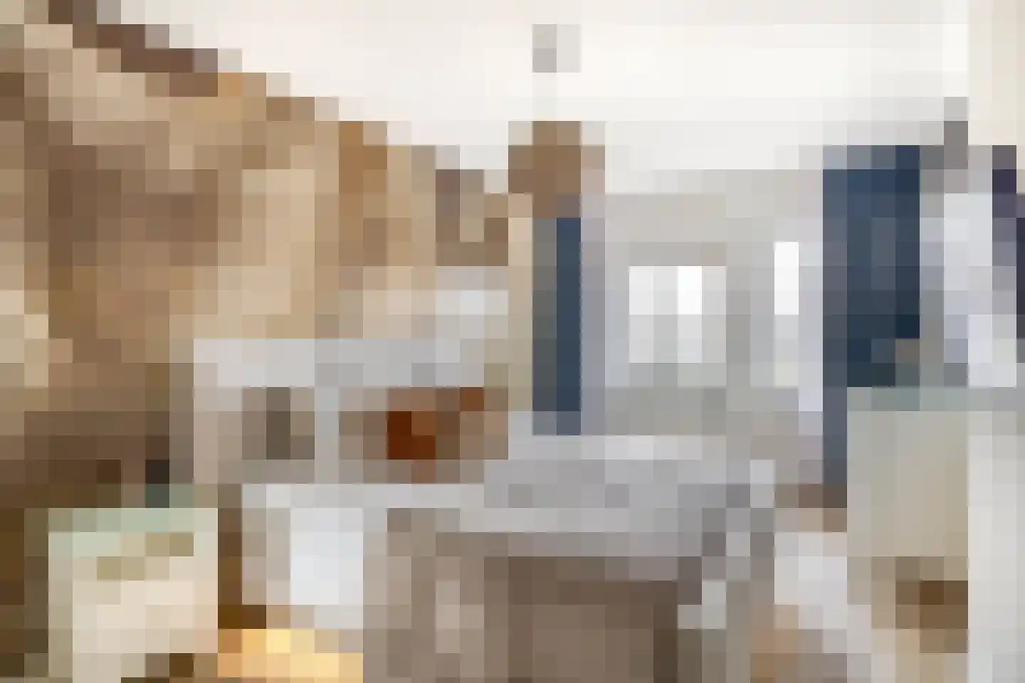 Jan Campertlaan 39 Spijkenisse thumbnail 29